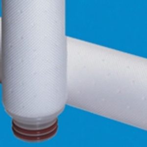 Absolute Rated Depth Filter Cartridges